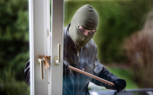 Geo City Theft Crimes